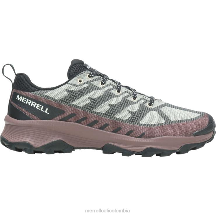 82LP631 ostra/marrón hombres Merrell velocidad eco (j037127) zapatos